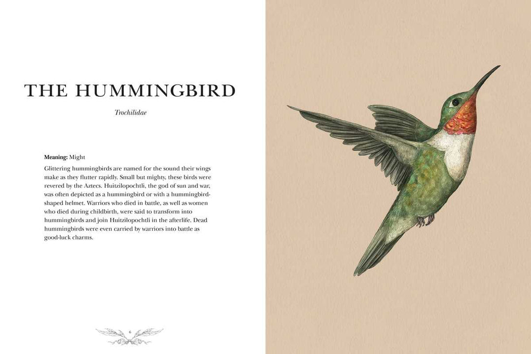 Ornithography: An Illustrated Guide to Bird Lore & Symbolism Book