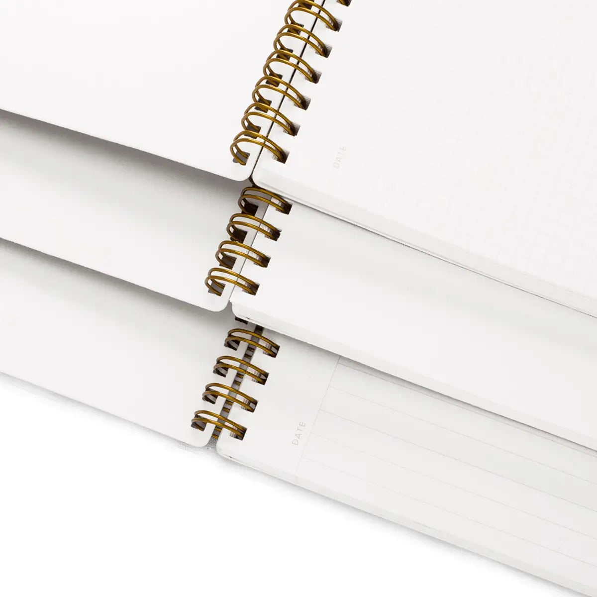 Appointed Workbook - 6 Colors