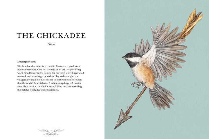 Ornithography: An Illustrated Guide to Bird Lore & Symbolism Book