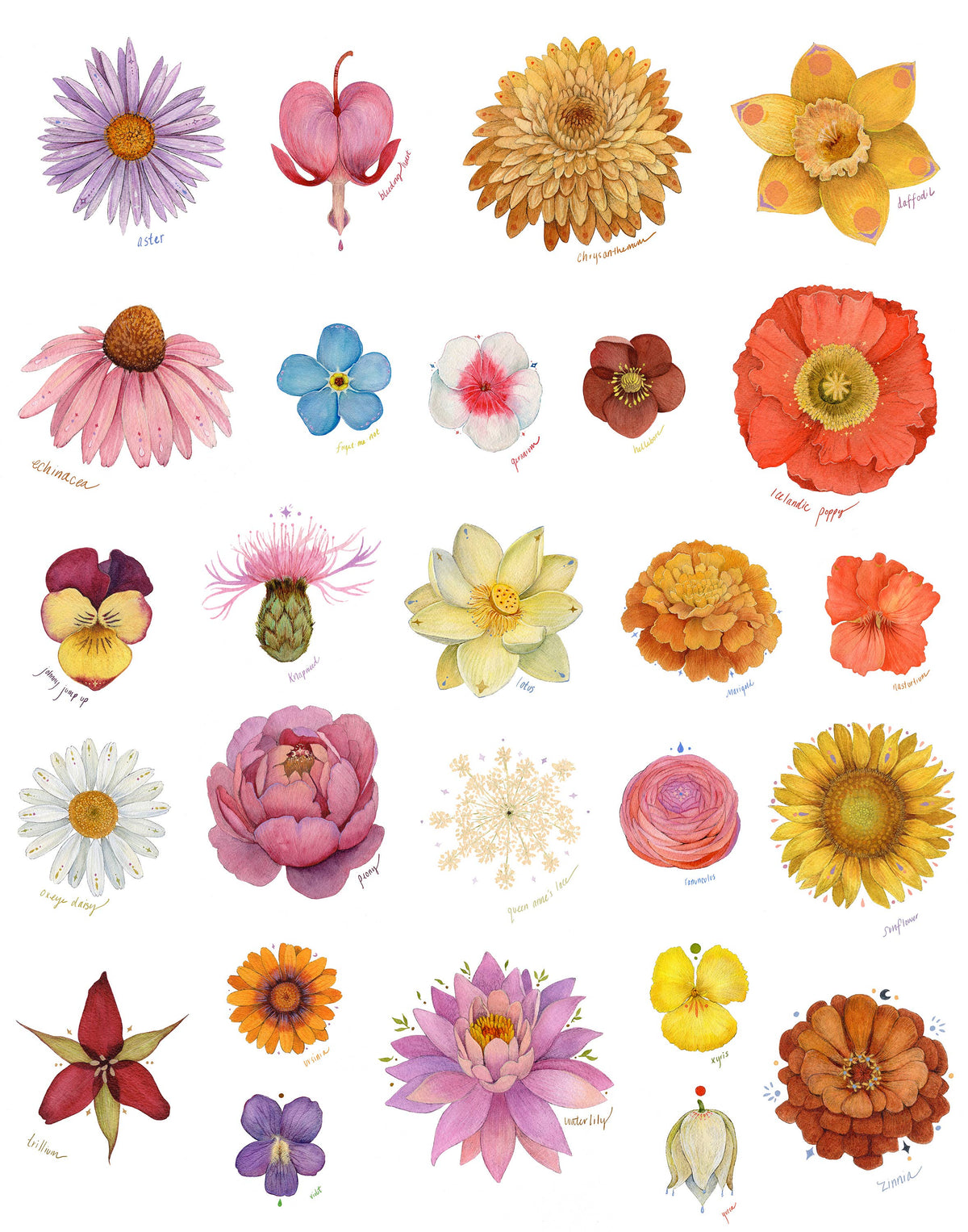 Blooming Alphabet Print - 11" x 14"