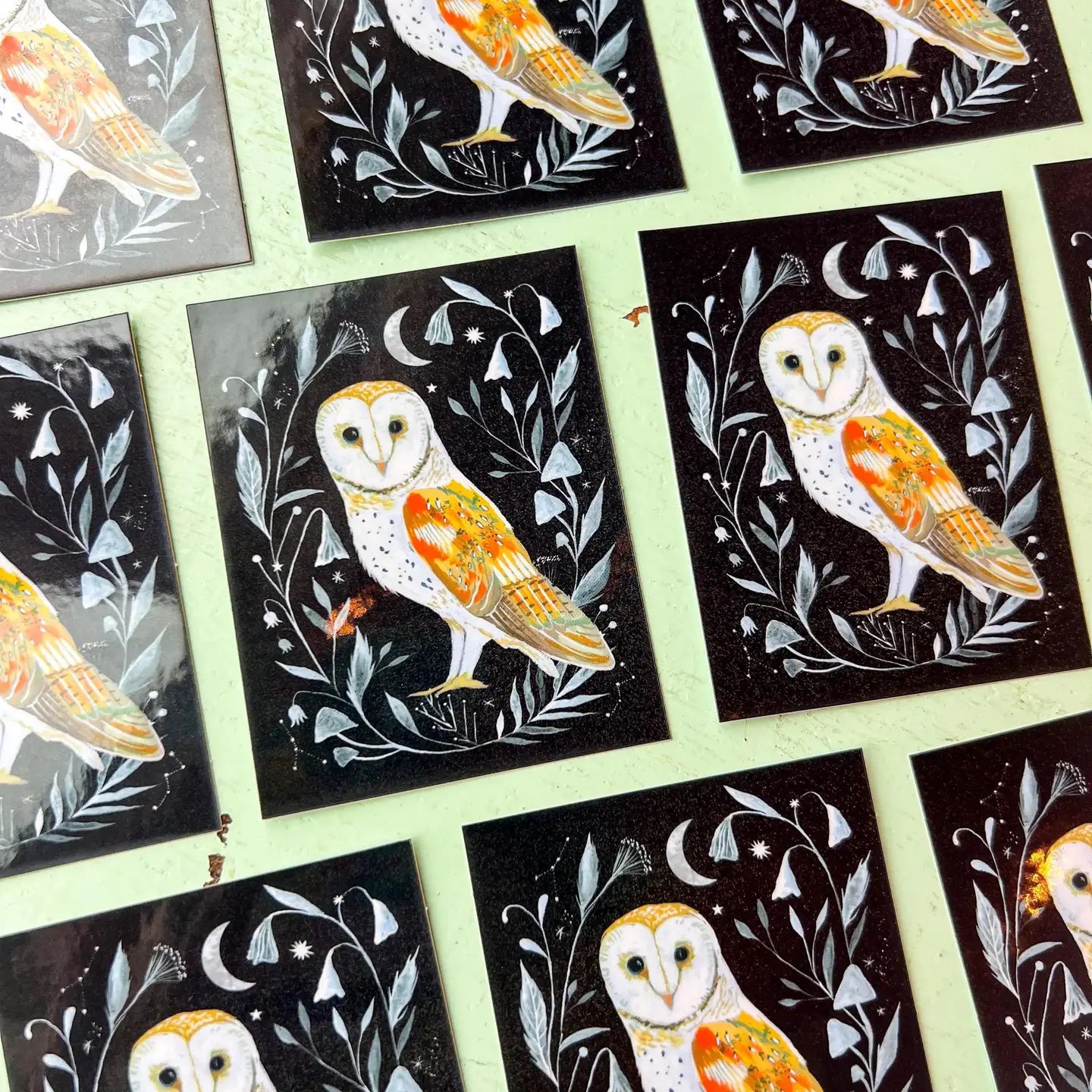 Watchful Barn Owl Sticker