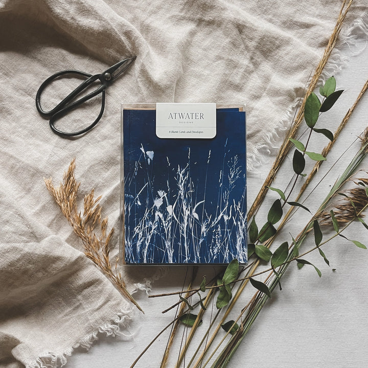 Field Studies - Botanical Cyanotype Cards Boxed Set