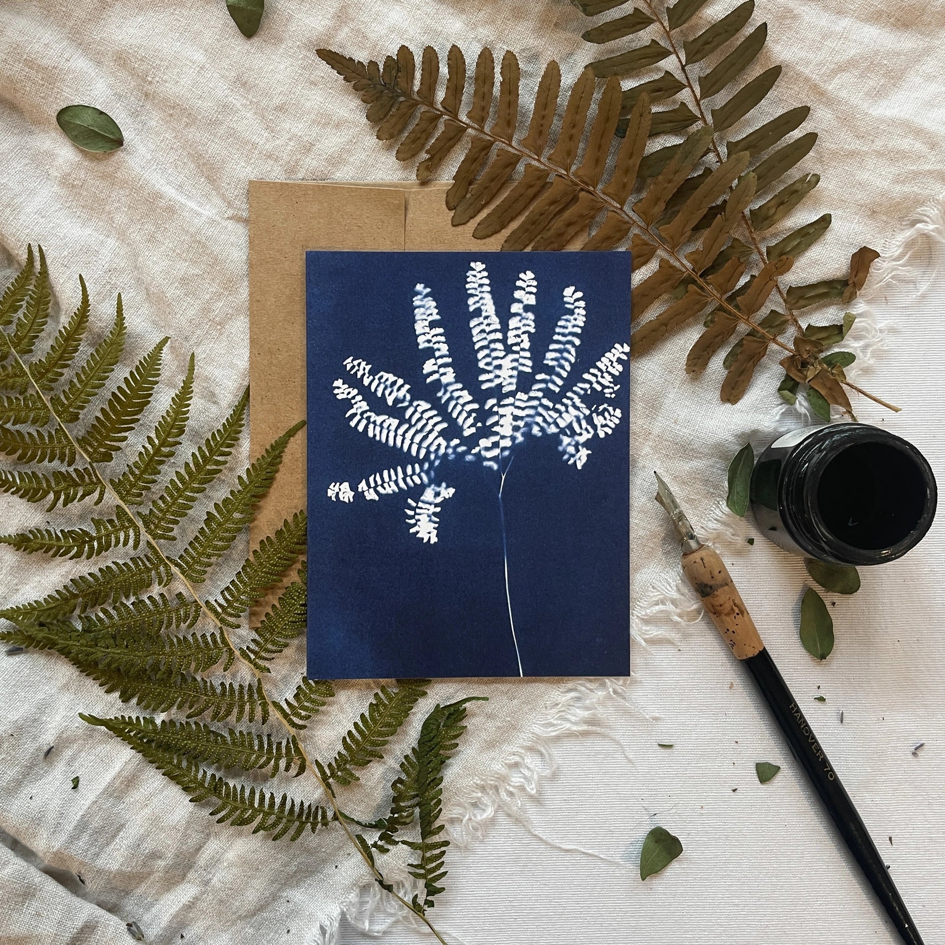 Ferns - Botanical Cyanotype Cards Boxed Set