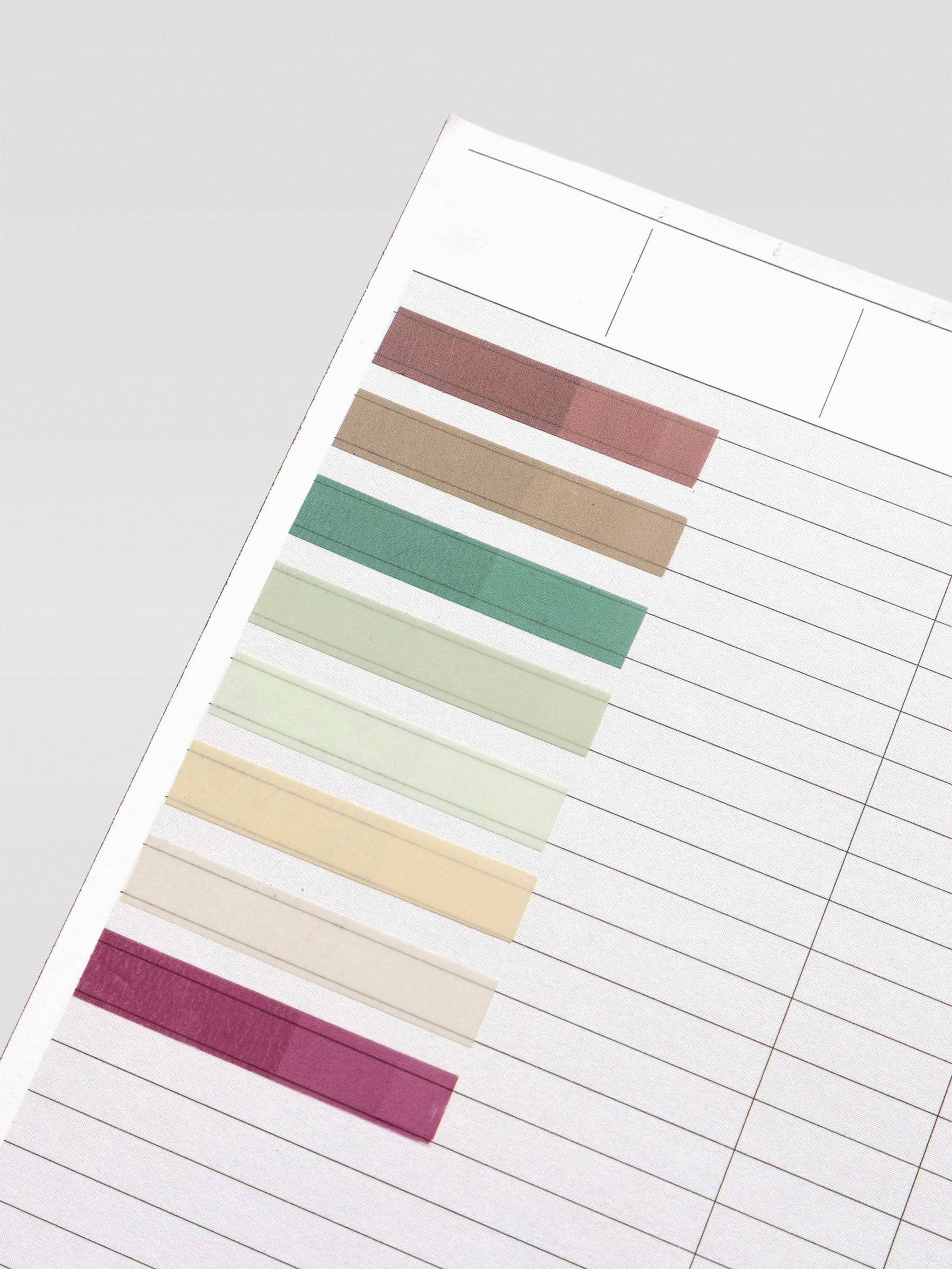 Transparent Page Pins - 8 Shades