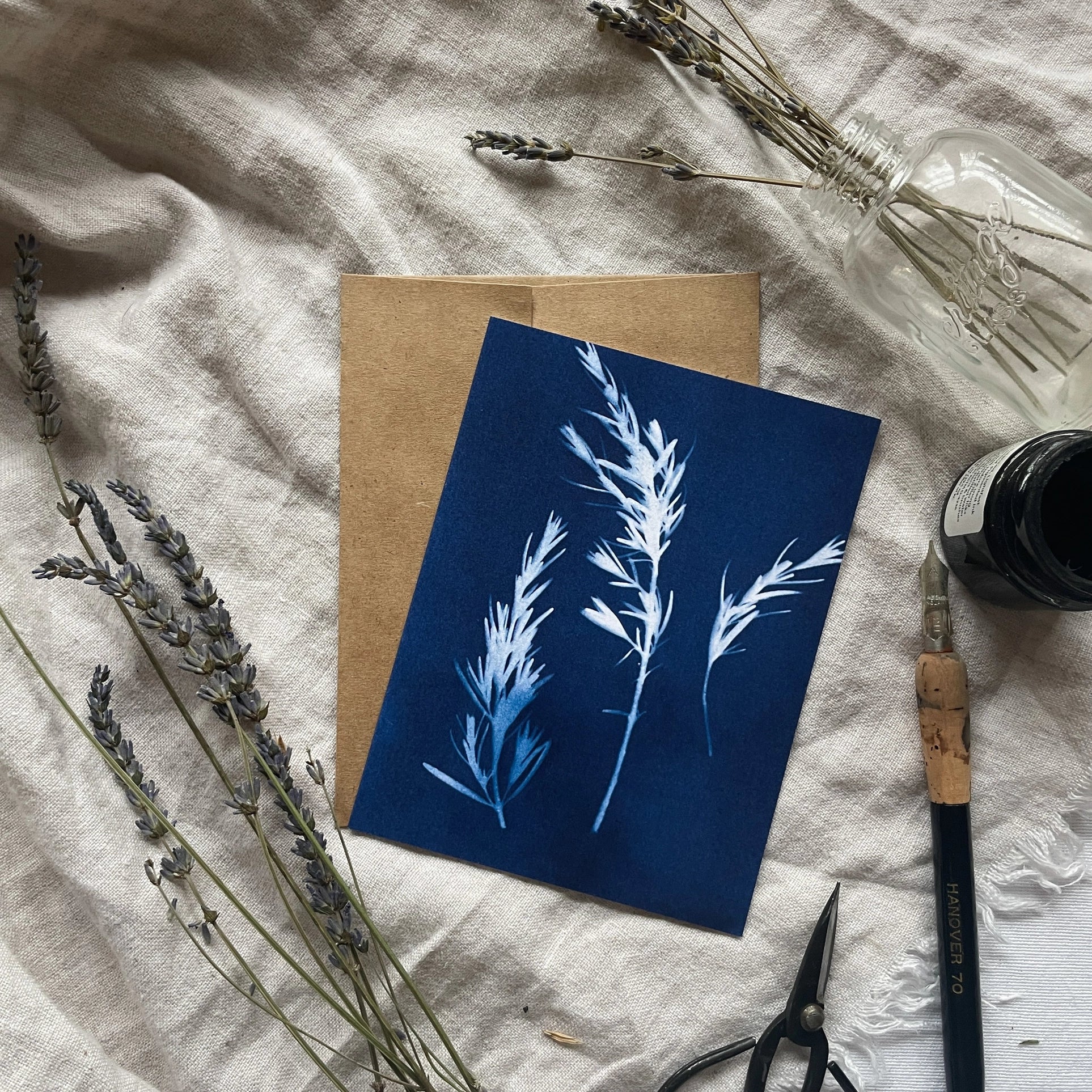 Herbs - Botanical Cyanotype Cards Boxed Set