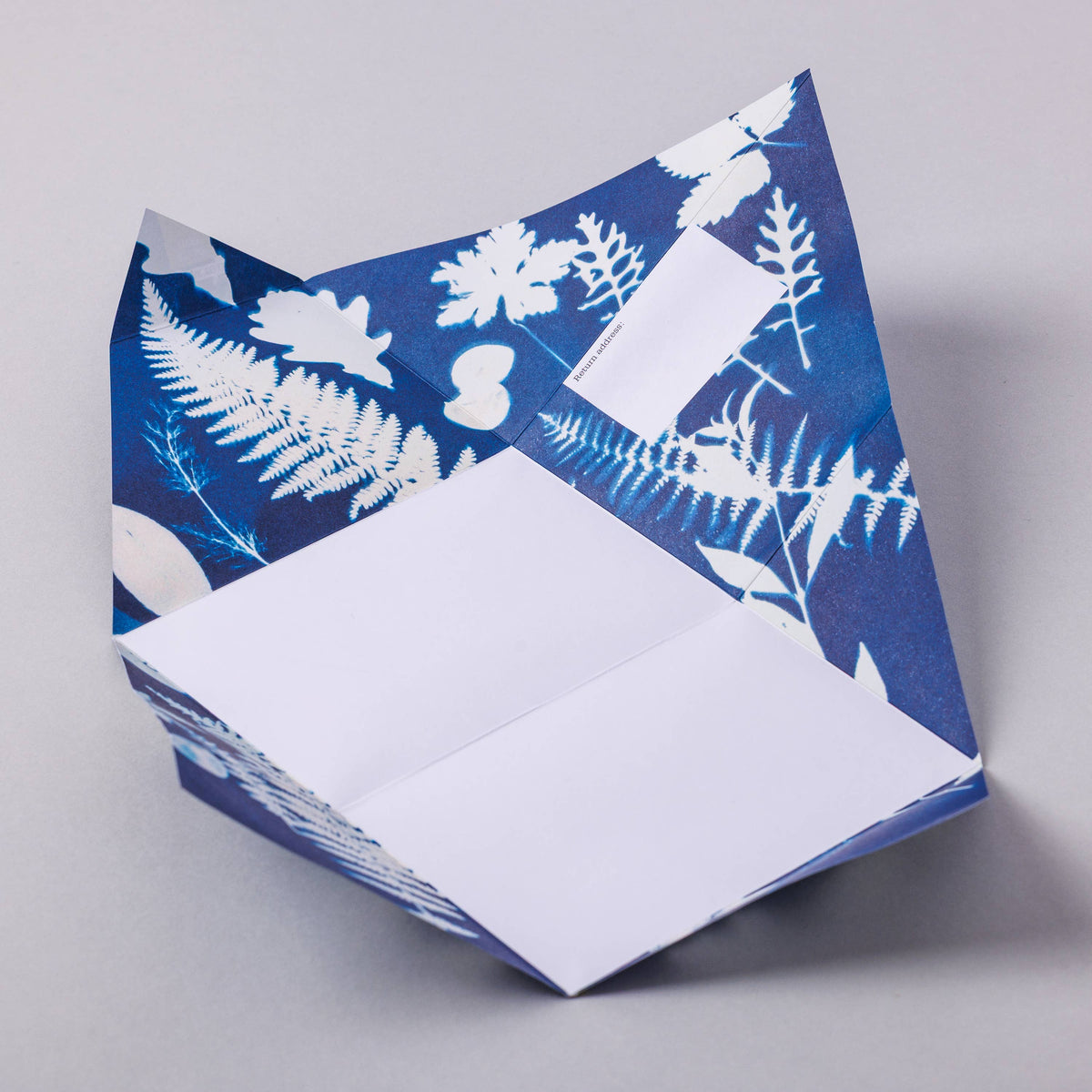 Botanical Cyanotype - Folding Letter Set of 6