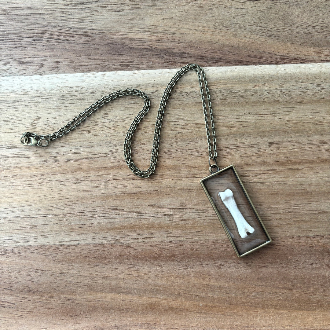Raccoon Toe Bone Necklace