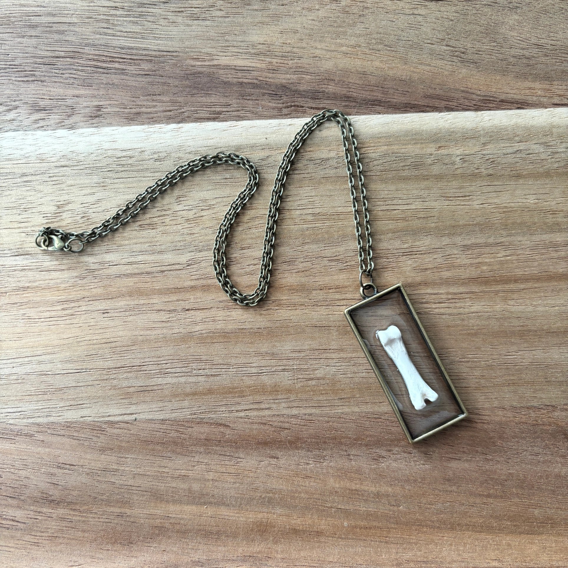 Raccoon Toe Bone Necklace