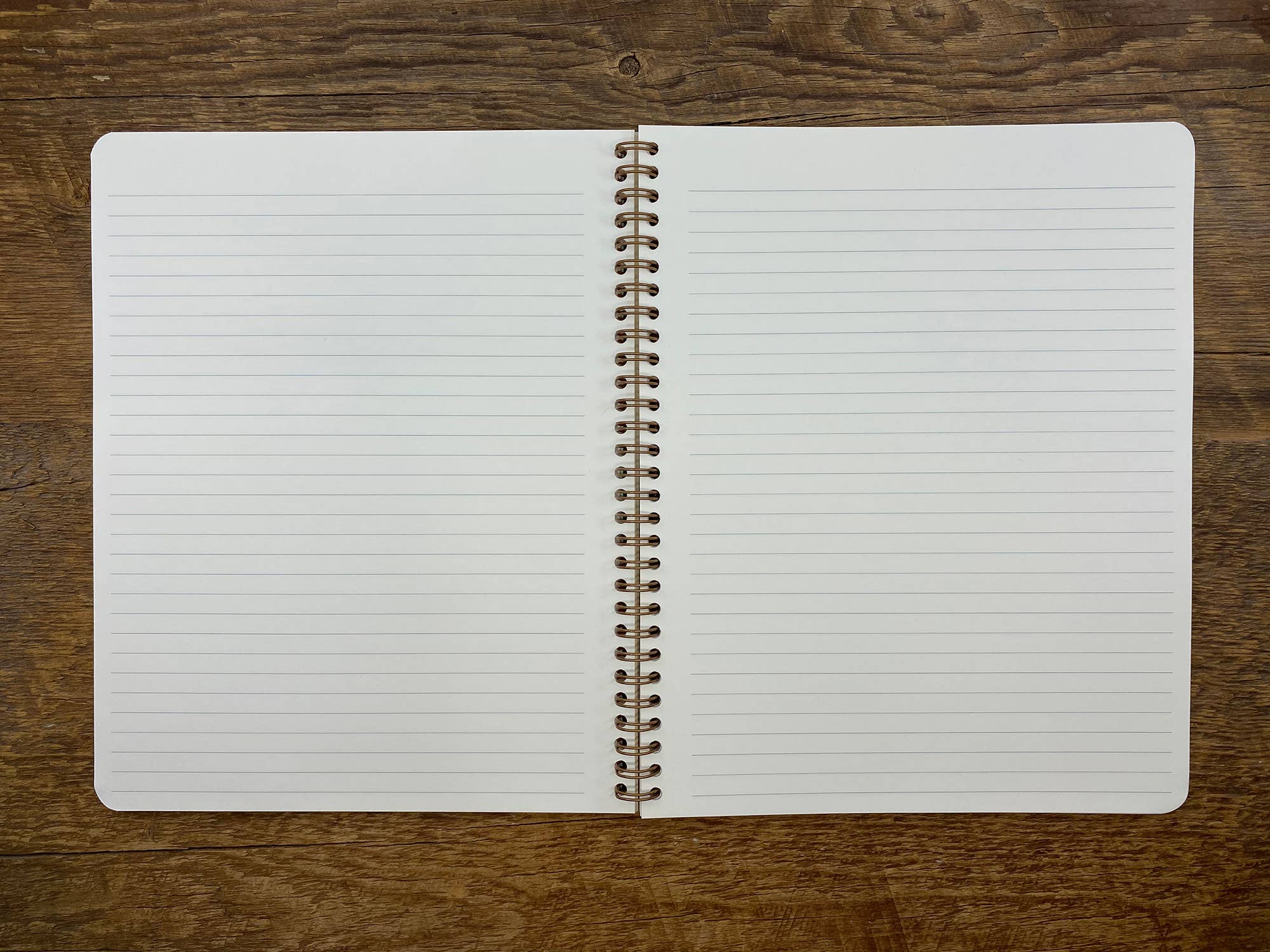 Desert Spiral Notebook