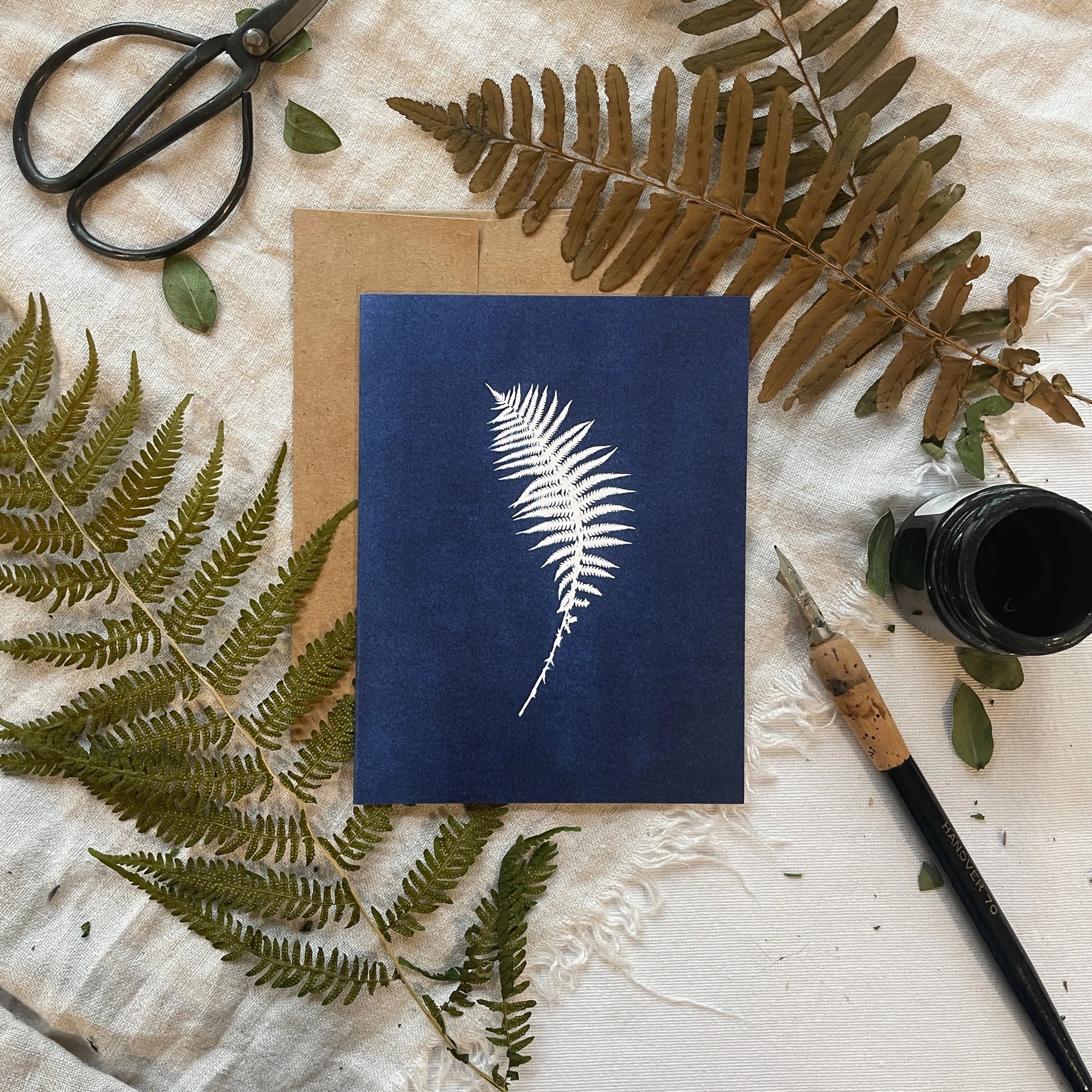 Ferns - Botanical Cyanotype Cards Boxed Set