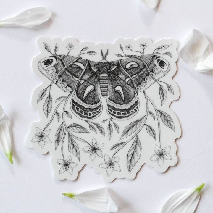 Cecropia Moth Sticker