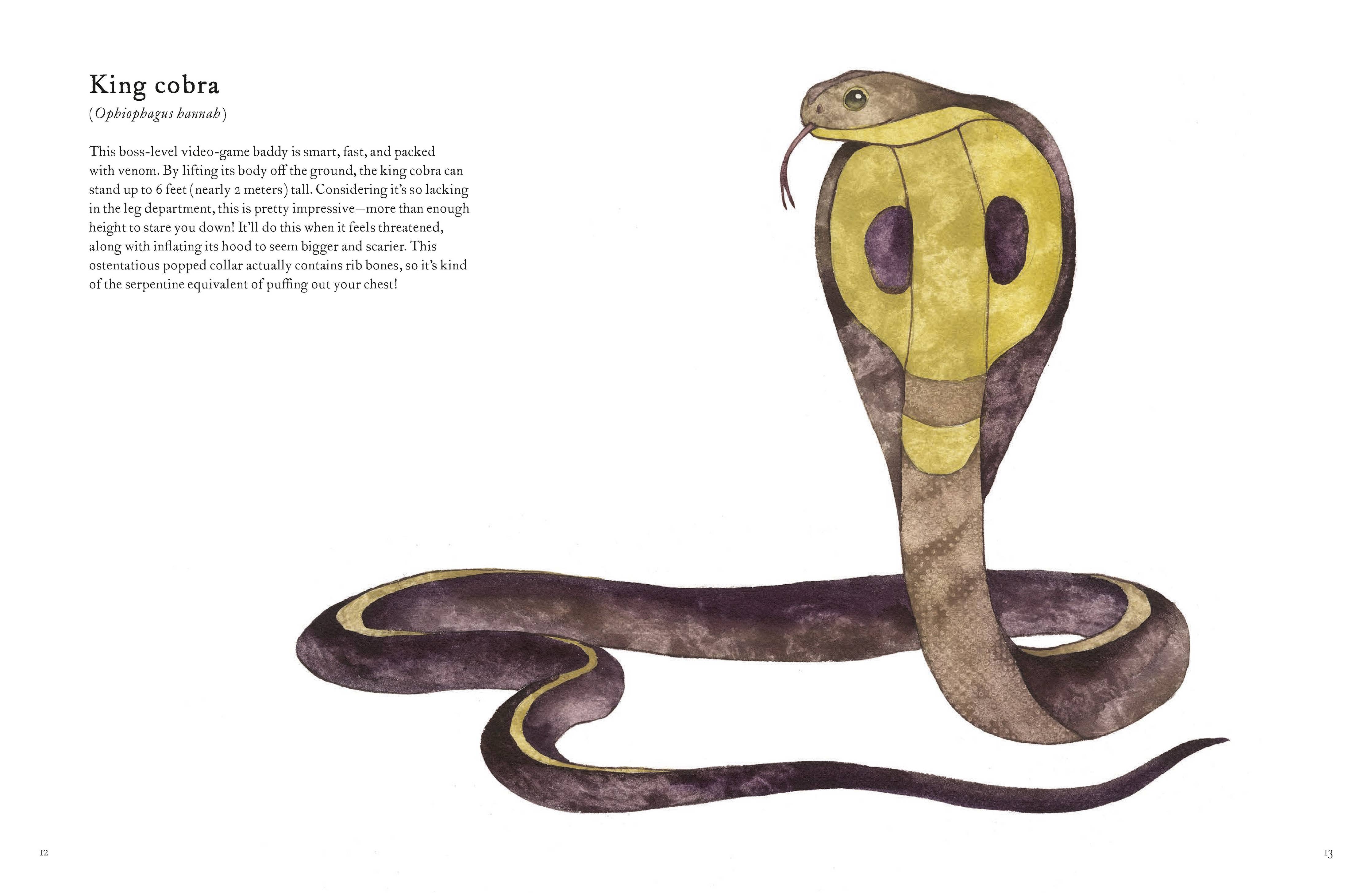 Colorful World of Reptiles Book