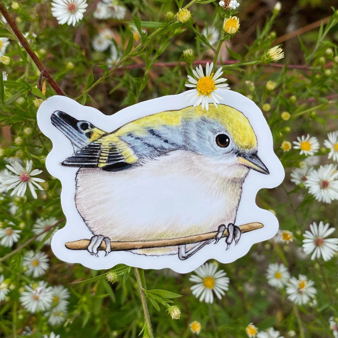 Chestnut-Sided Warbler Sticker