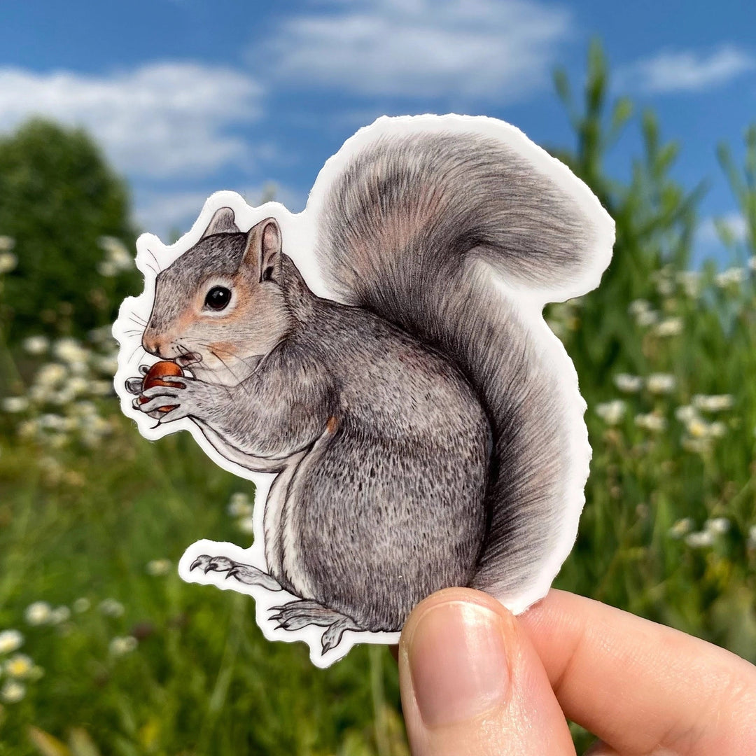 Eastern Gray Squirrel Sticker