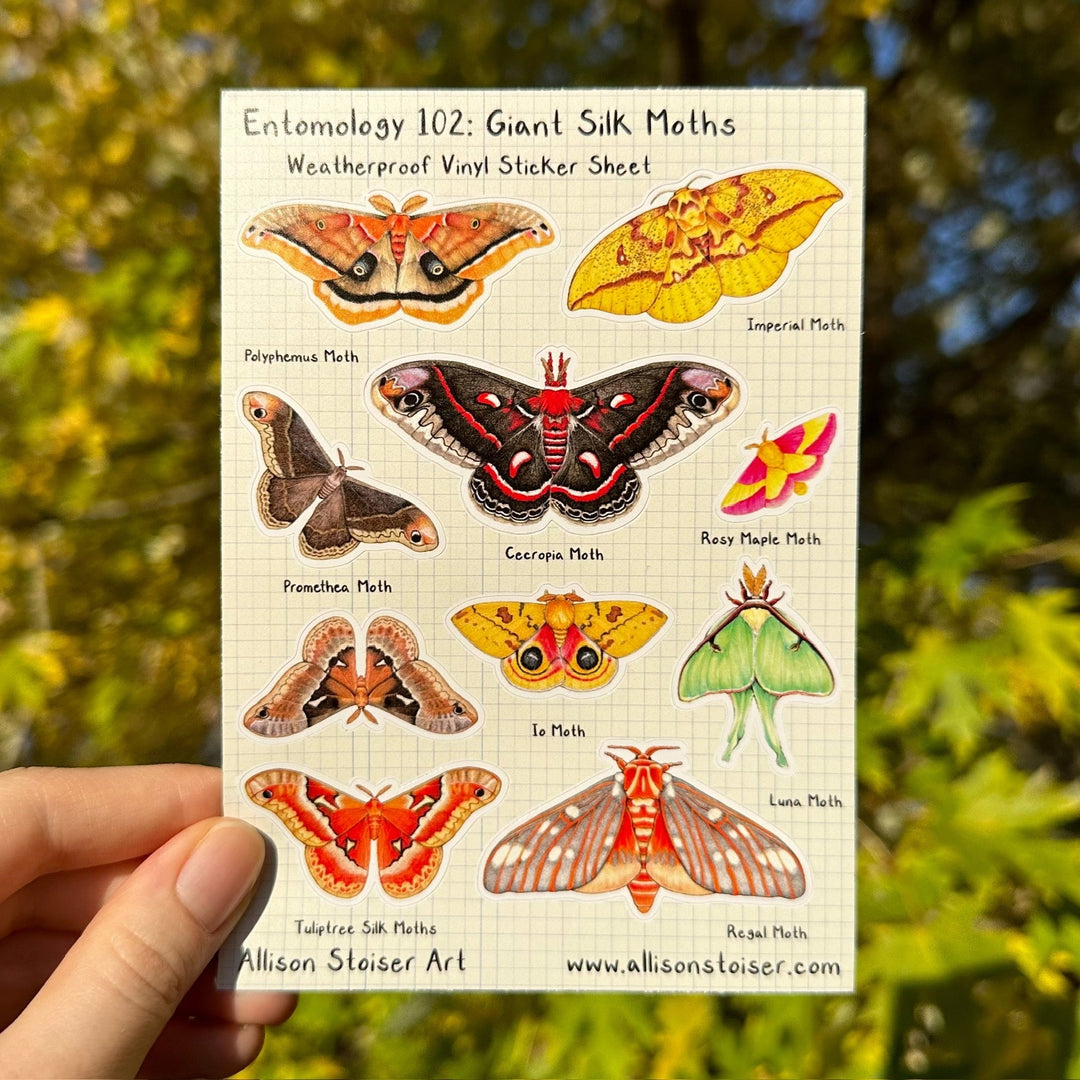 Entomology 102 Sticker Sheet - Giant Silk Moths