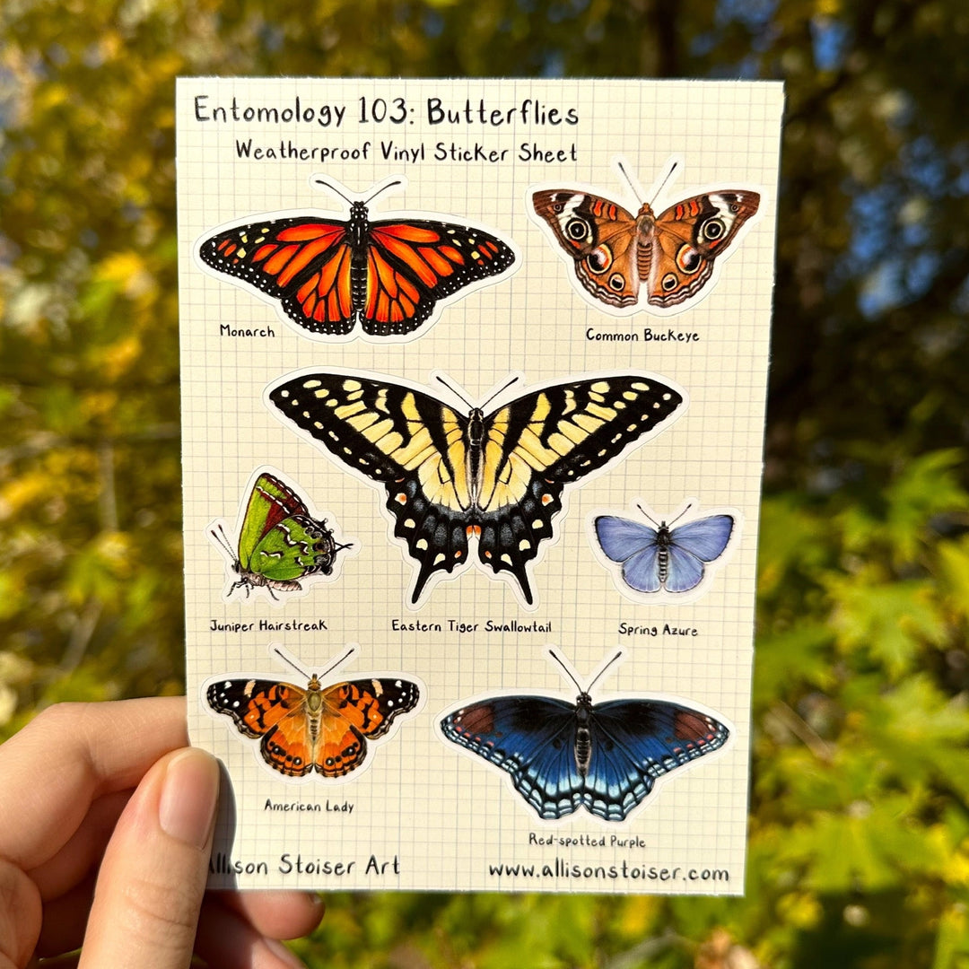 Entomology 103 Sticker Sheet - Butterflies