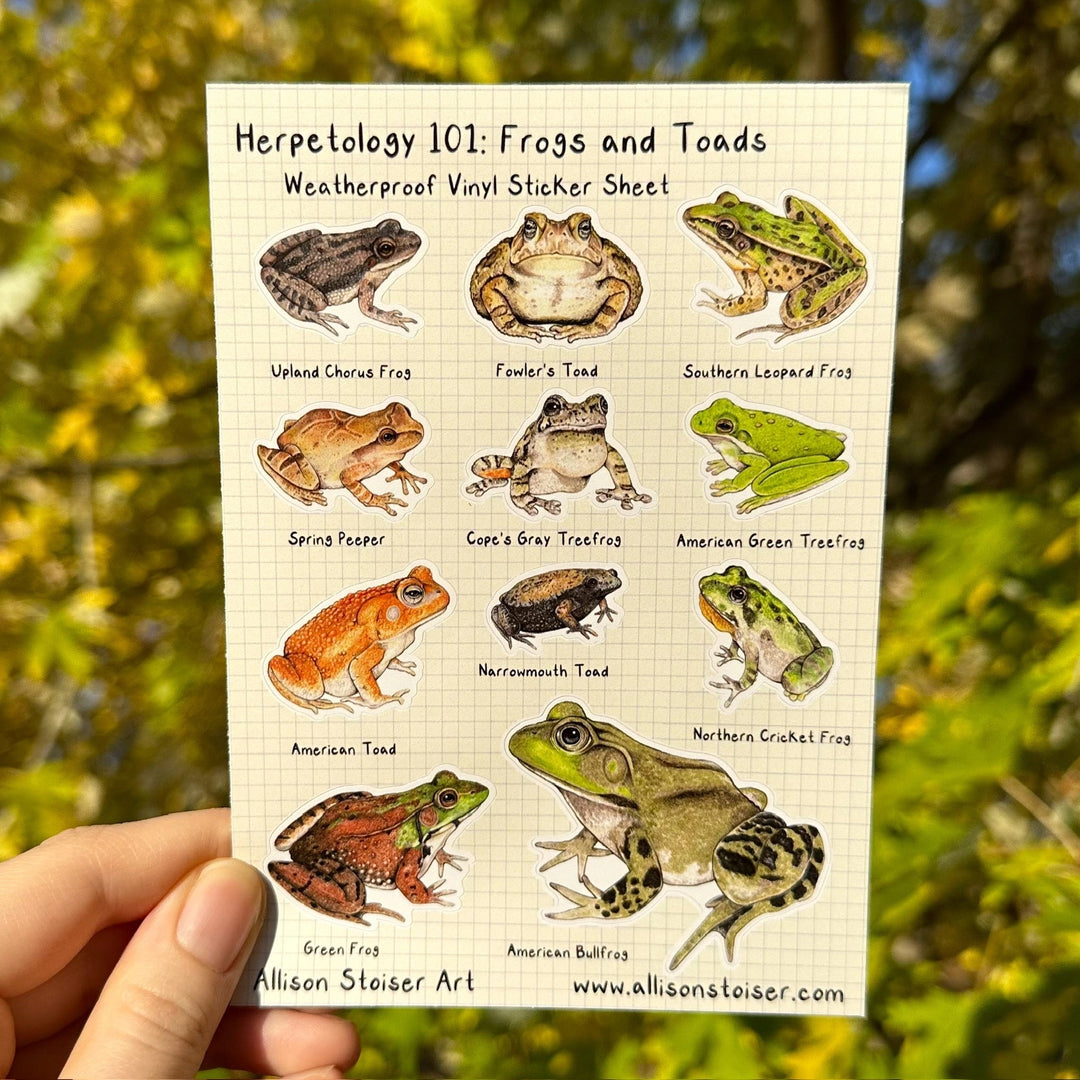 Herpetology 101 Sticker Sheet - Frogs & Toads