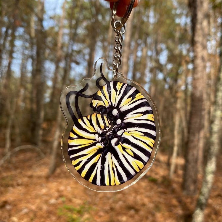 Curled Monarch Caterpillar Keychain