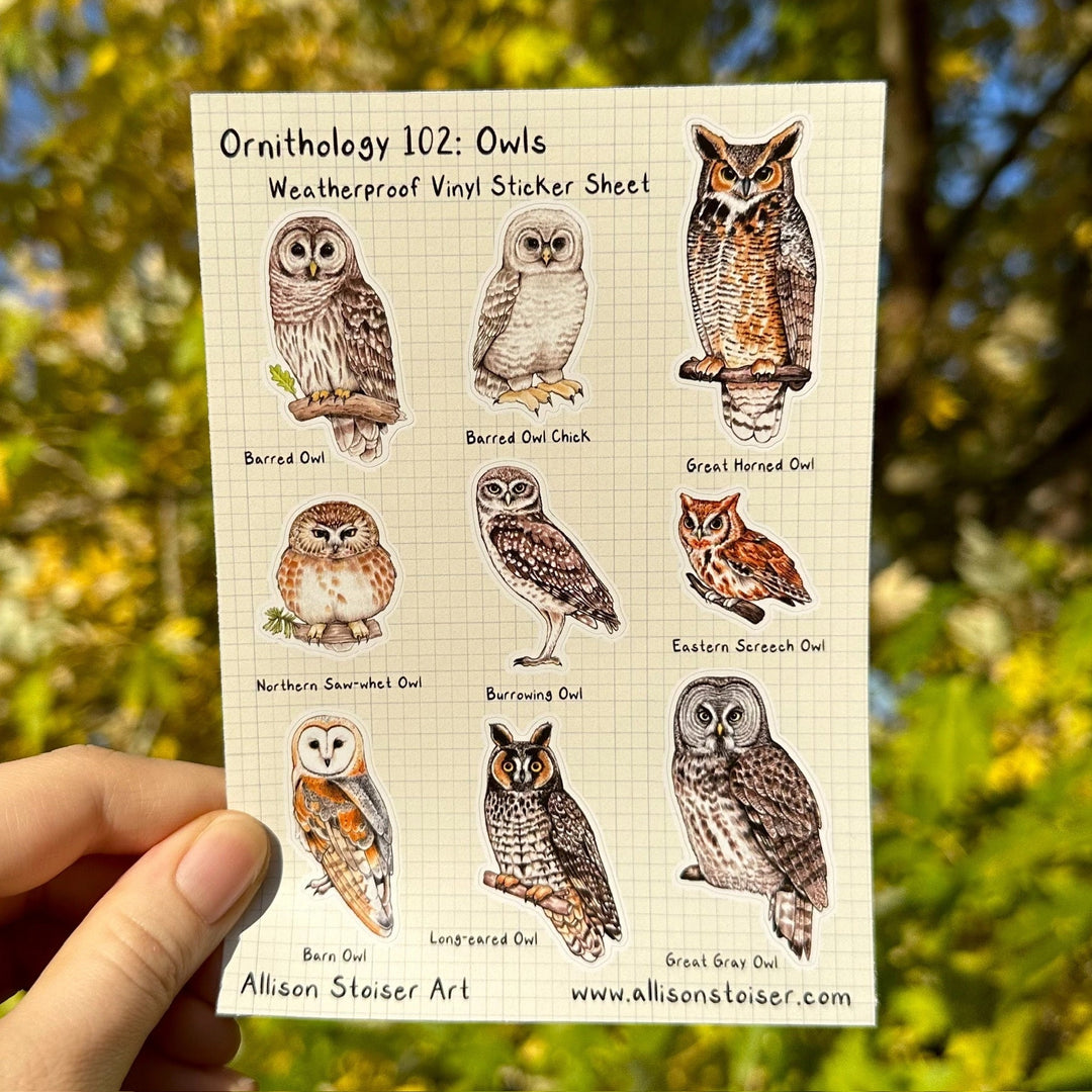 Ornithology 102 Sticker Sheet - Owls