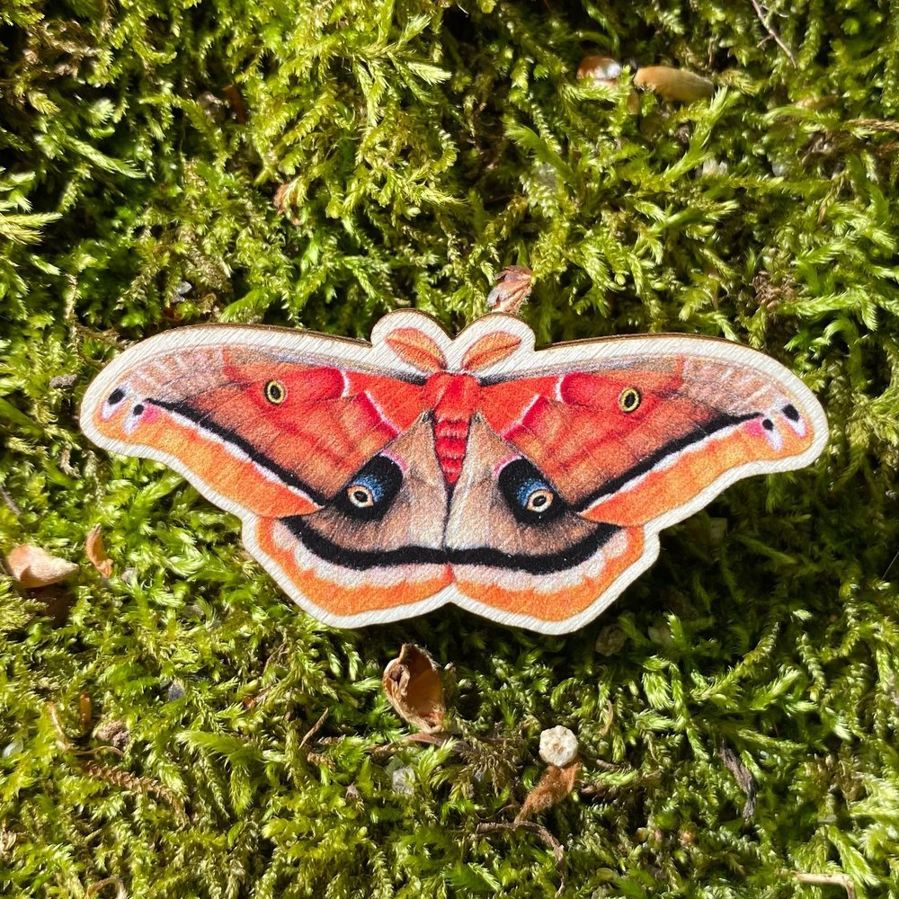 Polyphemus Moth Wooden Pin