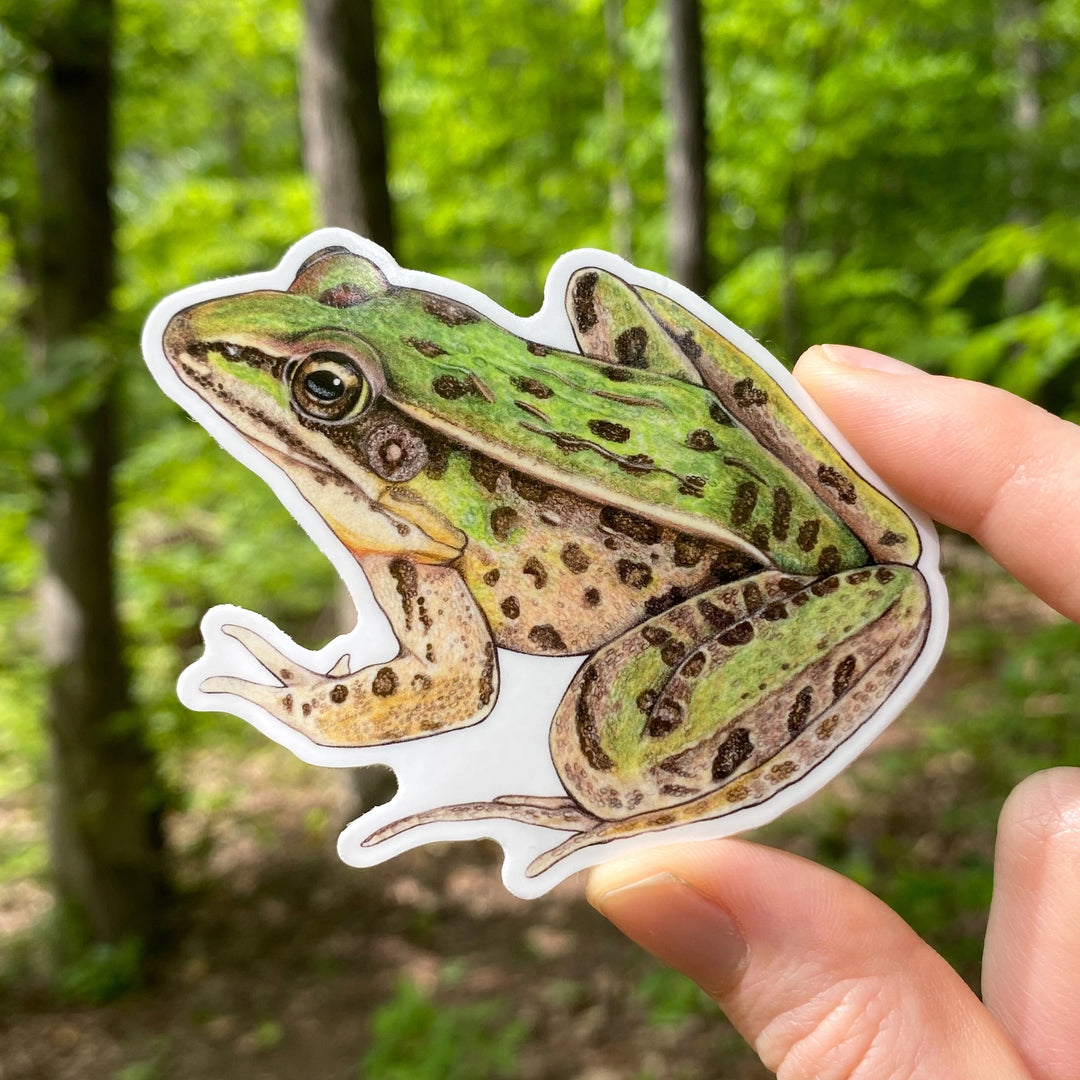 Southern Leopard Frog Sticker