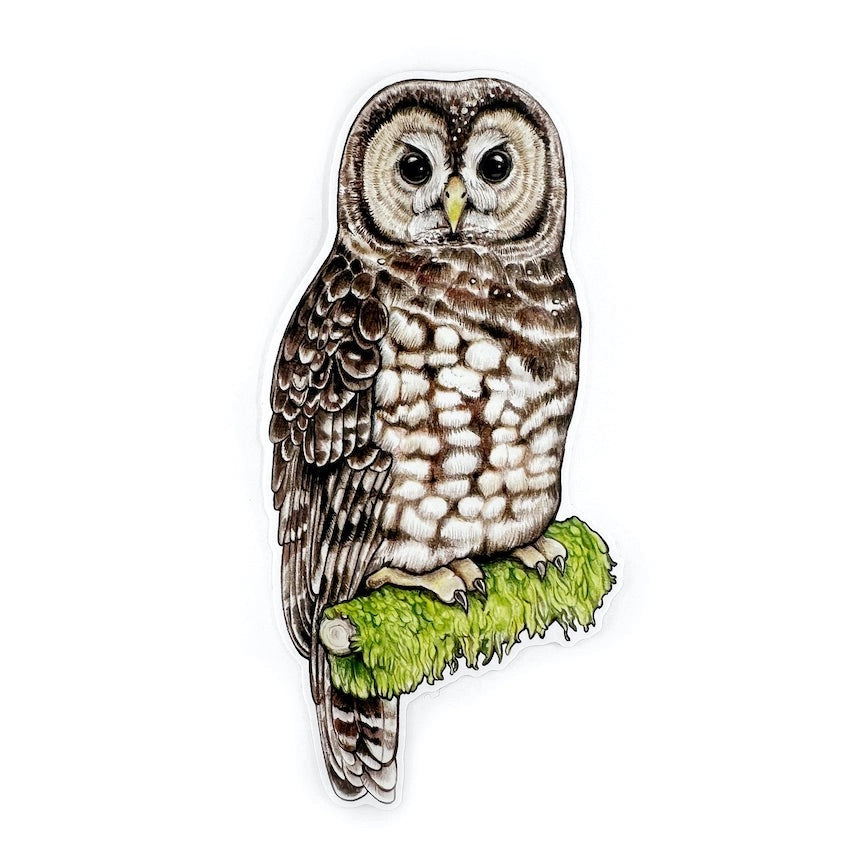 Spotted Owl Sticker