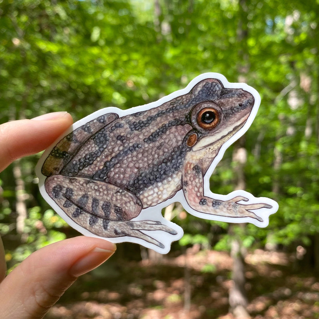 Upland Chorus Frog Sticker