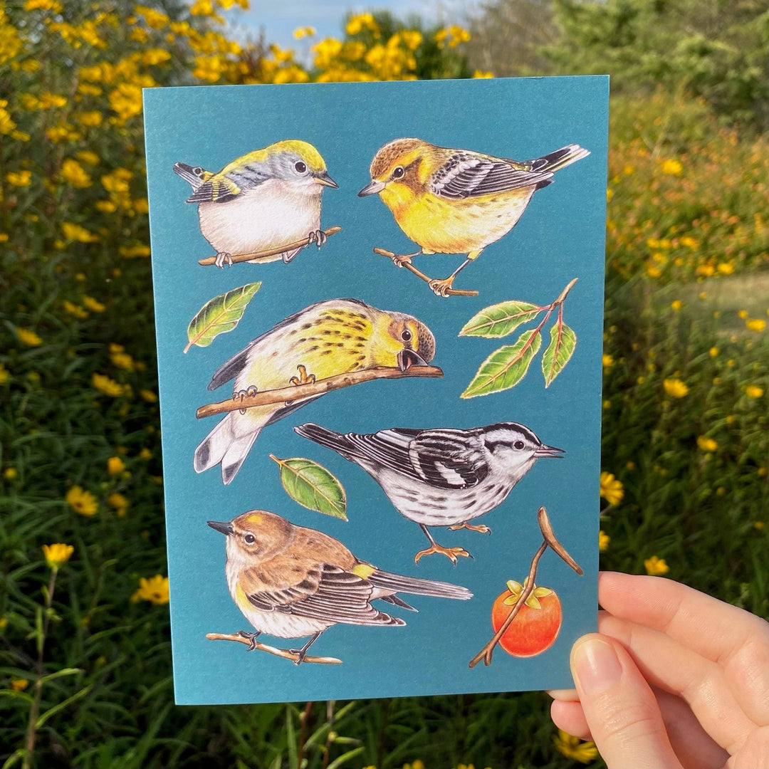 Warblers and Persimmon Bird Greeting Card