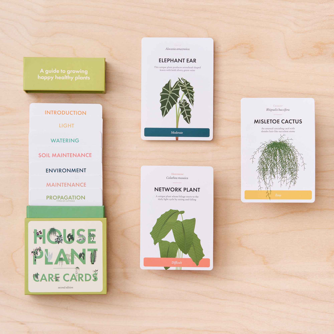 Houseplant Care Cards - New Variant