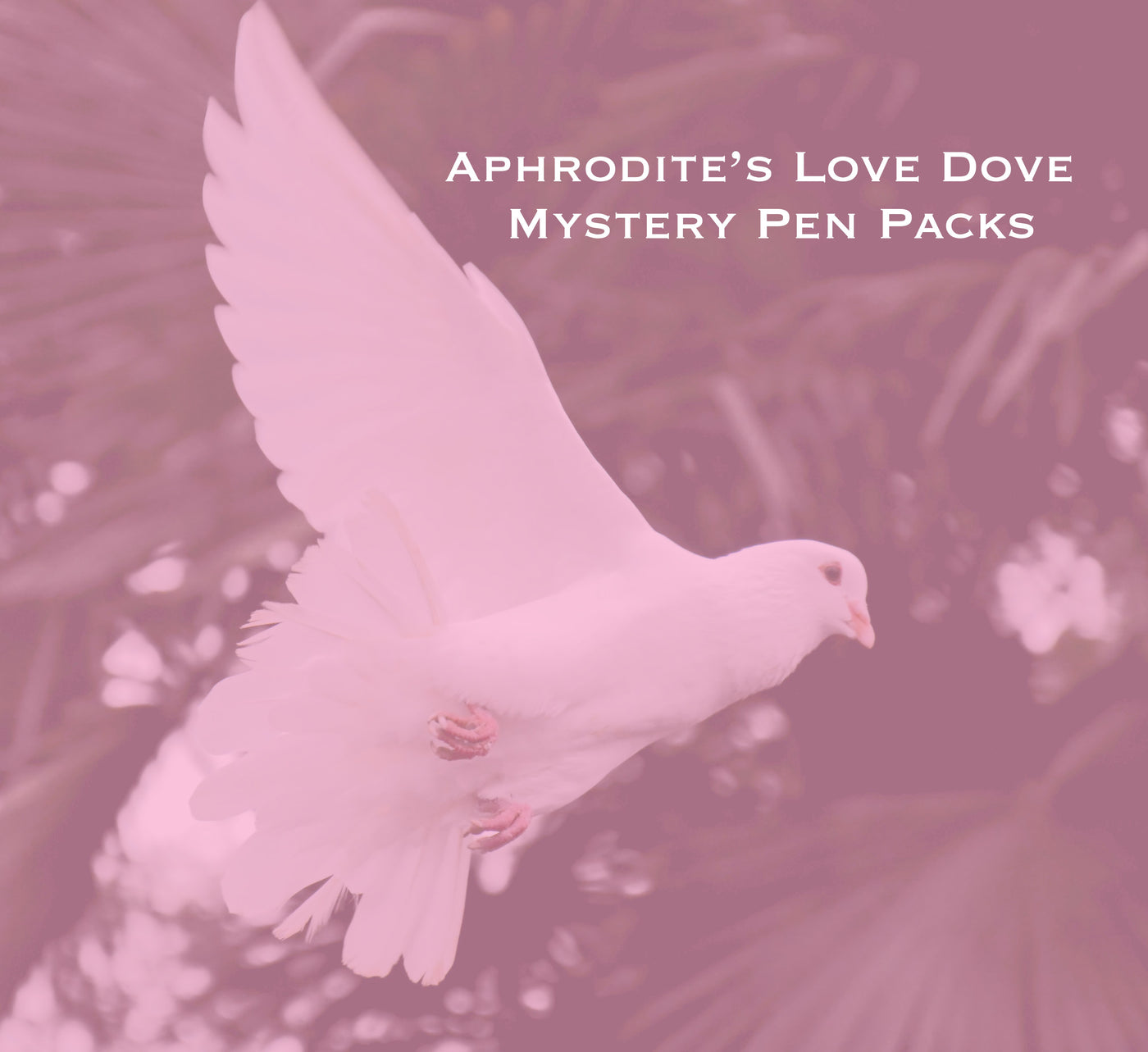 Aphrodite's Love Dove Mystery Pen Packs