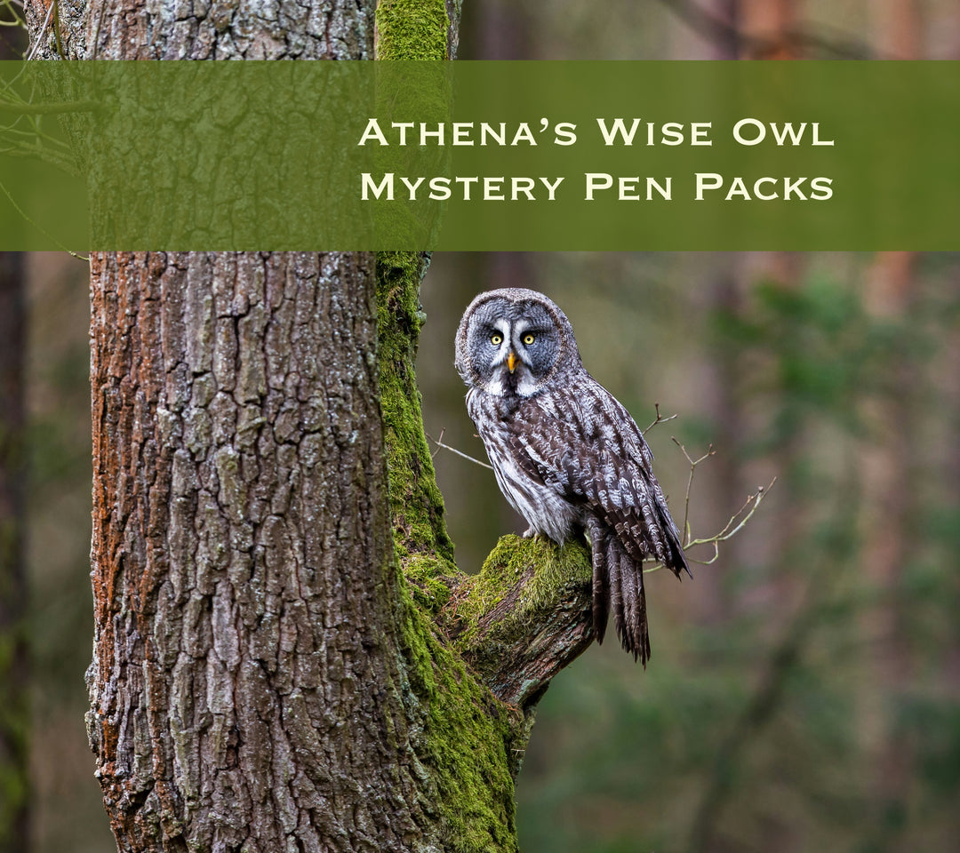 Athena's Wise Owl Mystery Pen Packs