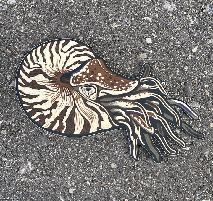 Nautilus Sticker