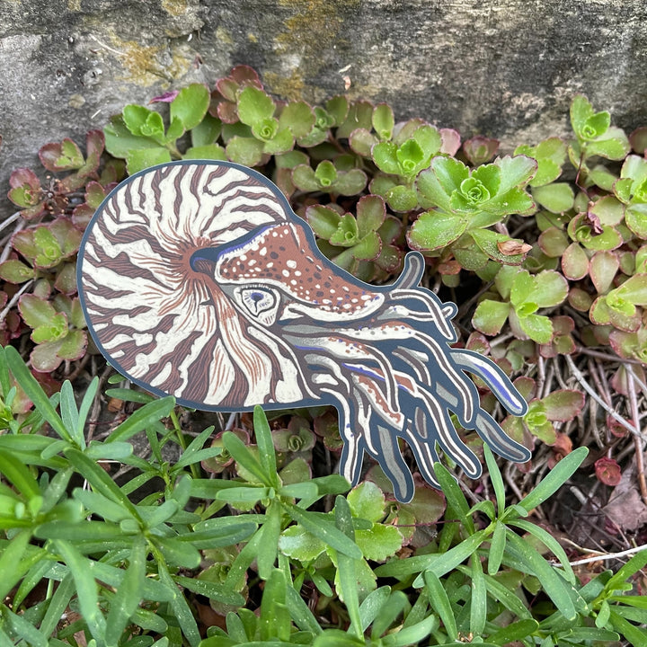 Nautilus Sticker