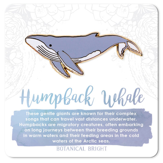 Humpback Whale Pin