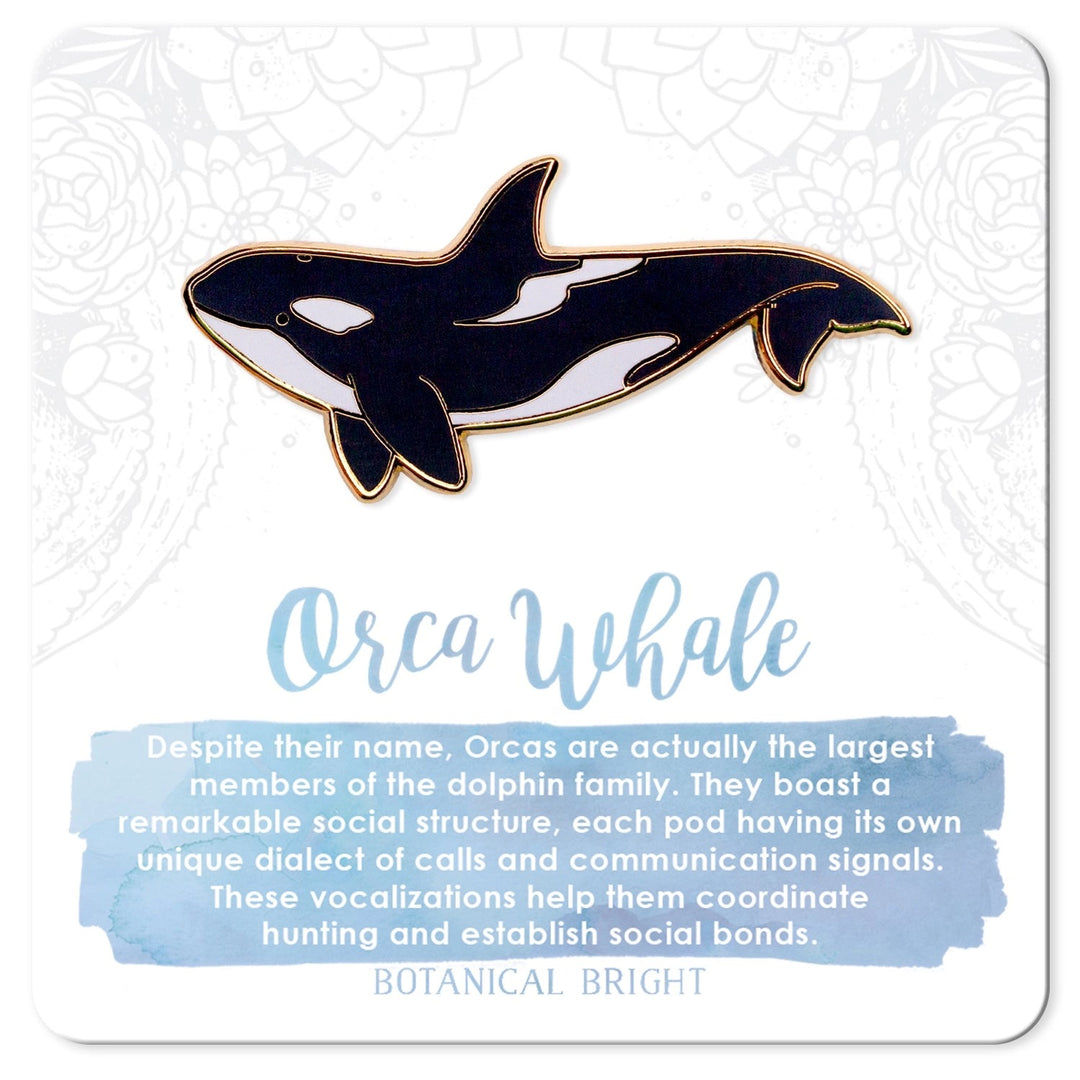 Orca Whale Pin