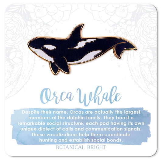 Orca Whale Pin