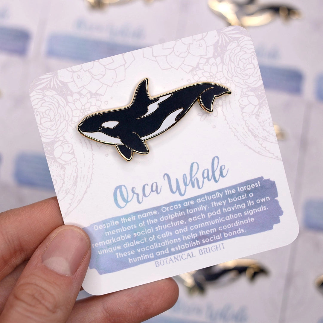 Orca Whale Pin