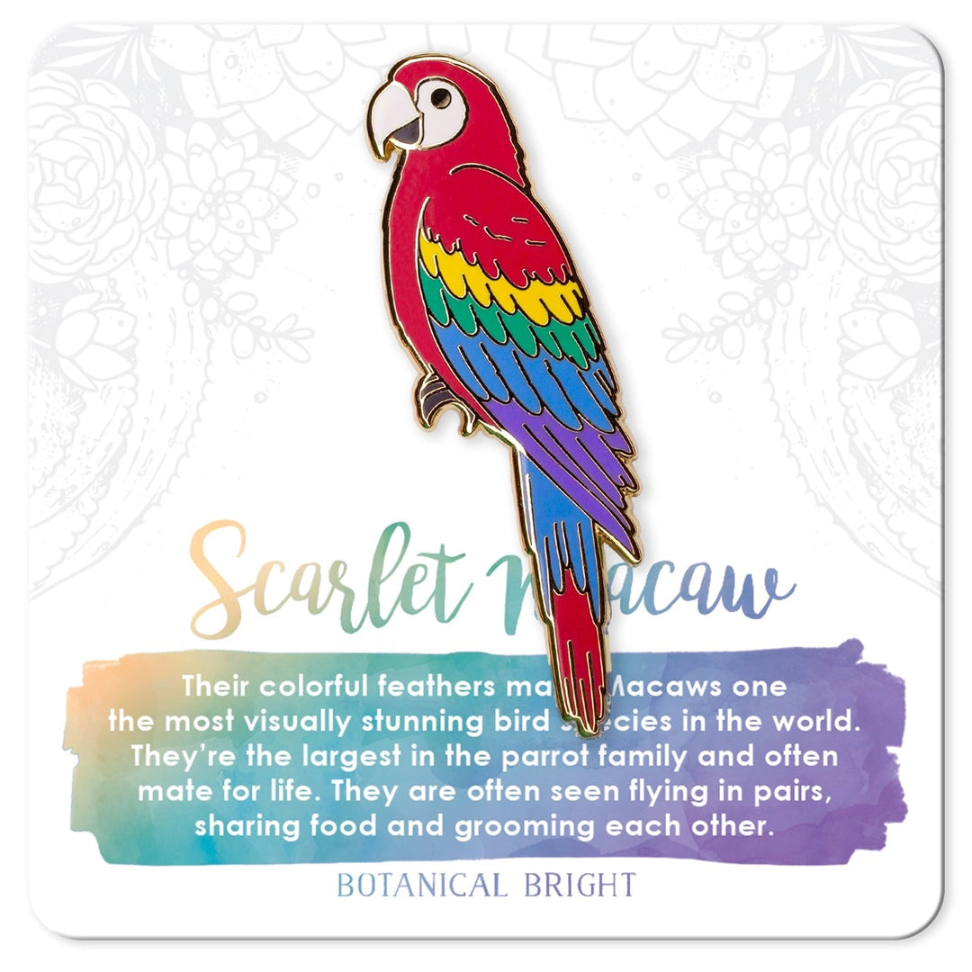 Scarlet Macaw Pin