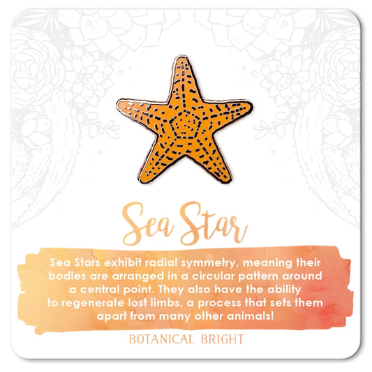 Sea Star Pin