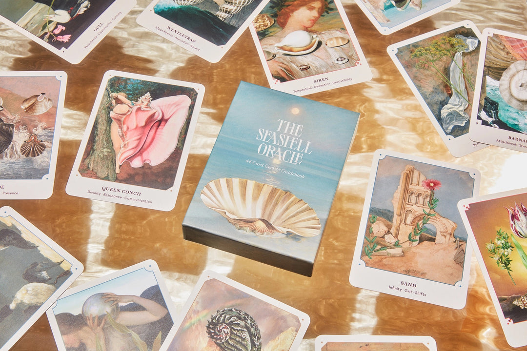 The Seashell Oracle Deck