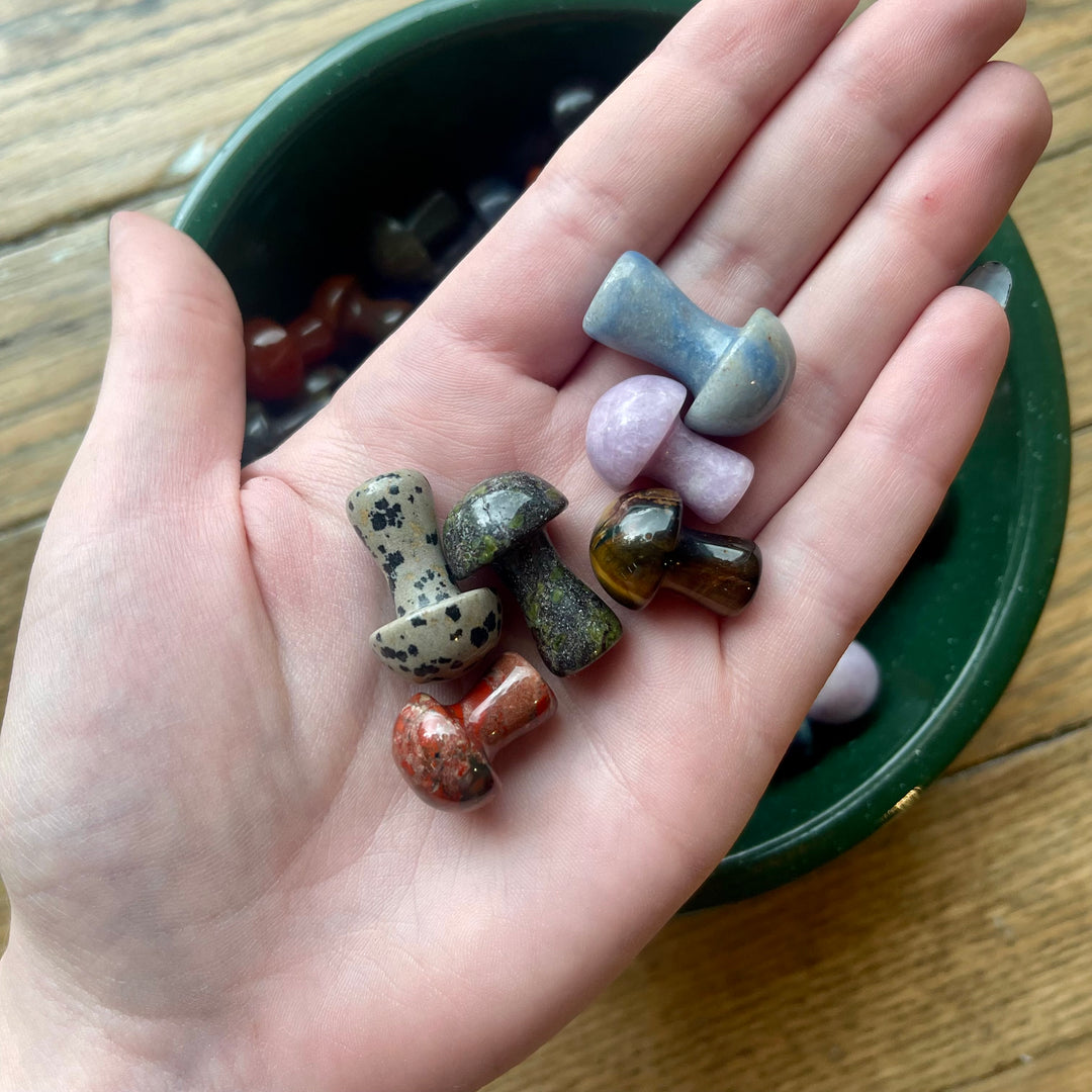 Mystery Crystal Mushrooms