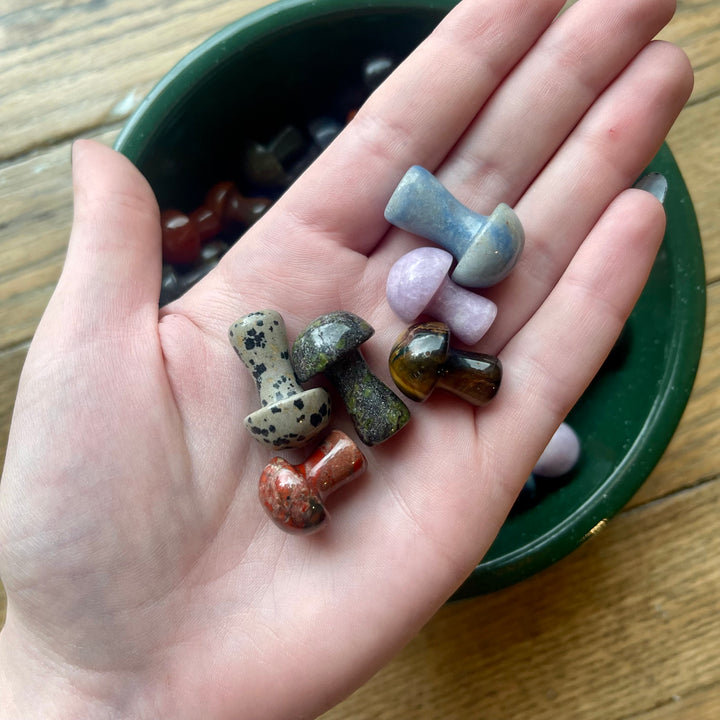 Mystery Crystal Mushrooms