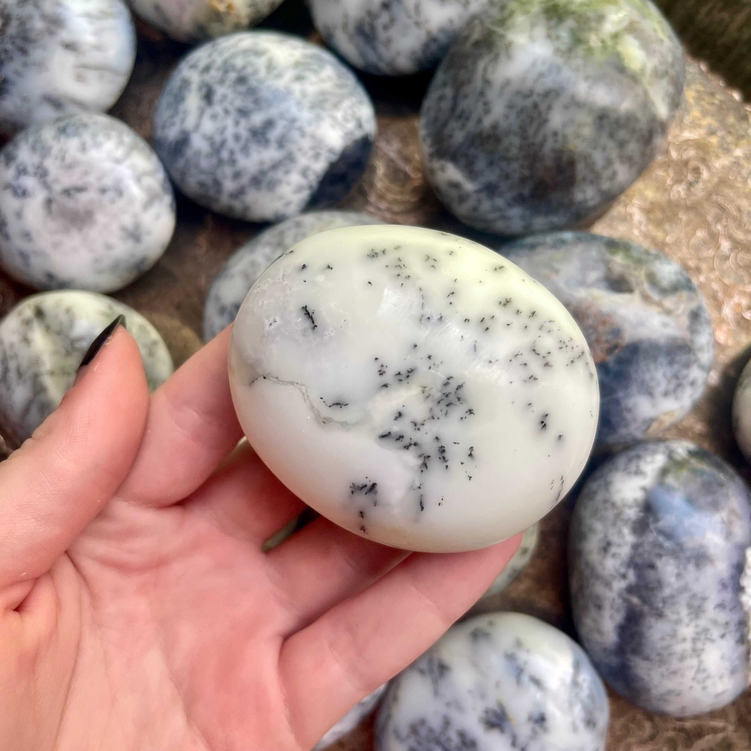 Dendritic Agate Sea Turtle Eggs