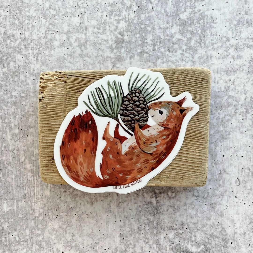 Pine Squirrel Sticker