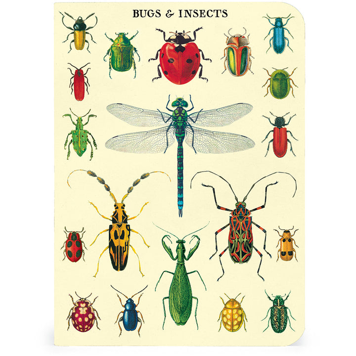 Bugs & Insects Mini Notebook Set