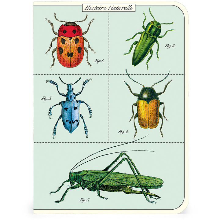 Bugs & Insects Mini Notebook Set