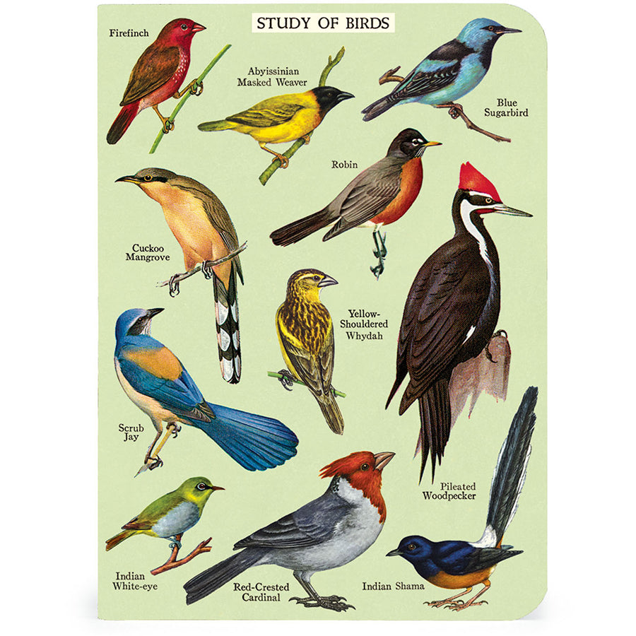 Bird Watching Mini Notebook Set