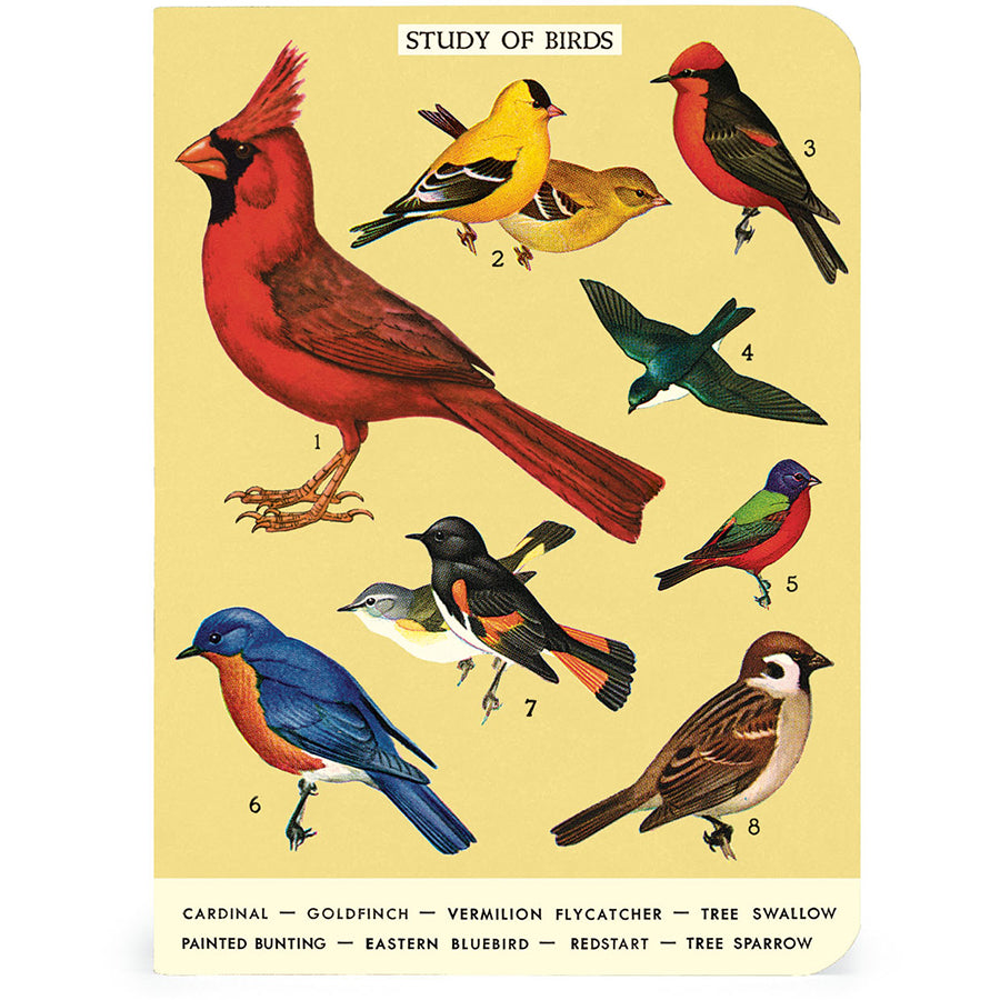 Bird Watching Mini Notebook Set