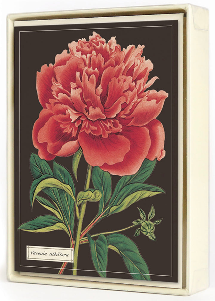 Botanical Boxed Notecards