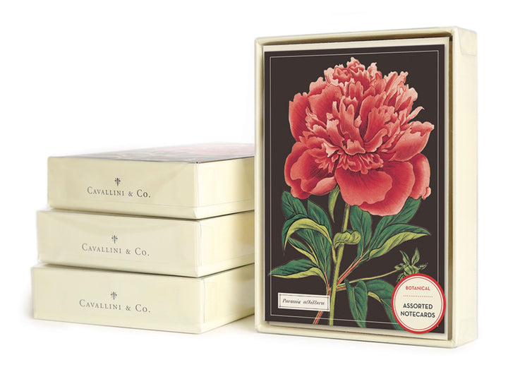 Botanical Boxed Notecards